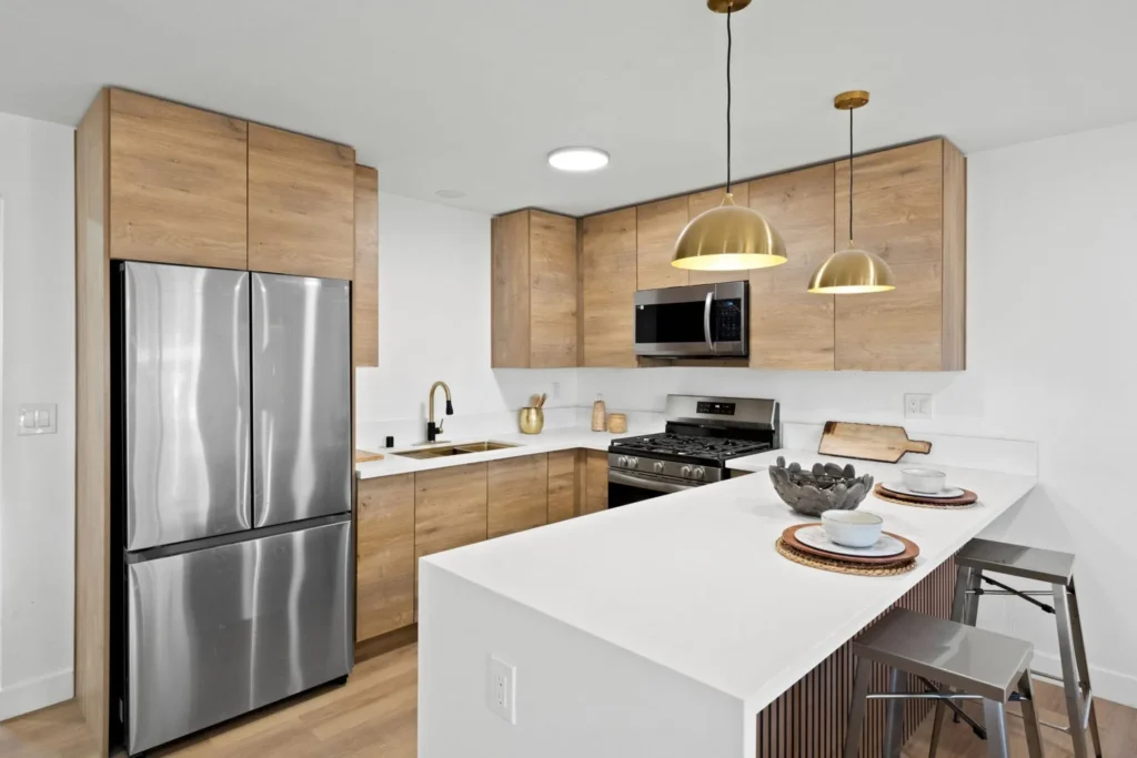 European Kitchen Spring Valley Full Home Remodel